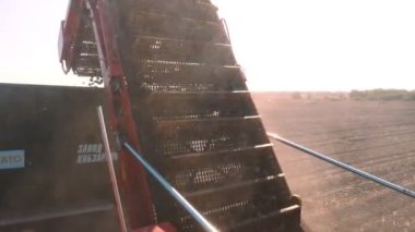 Patates hasadı. Patates biçme makinesi. Yakın plan. Taze hasat edilmiş patatesler nakliye köprüsünden Tipper 'a gelir. Çiftlik tarlasında patates hasat eden çiftlik makineleri..