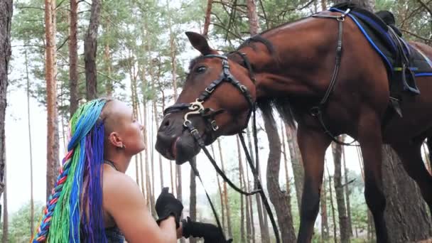 Igbt. duha. jízda na koni. jezdec dívka, jezdkyně, s duhovými vlasy dredy, zachází se svým koněm s dobrotami, při chůzi lesem — Stock video