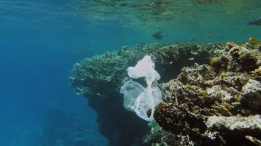 Denizde çöp. Denizin plastik kirliliği. Kullanılır, plastik torbalar mercan resifinde yavaşça sürüklenir, suyun altında, güneş ışığında. Plastik atık çevresel kirlilik sorunu
