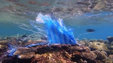 Denizde çöp. Denizin plastik kirliliği. Mavi plastik poşet güneş ışığında yavaşça suyun altında sürükleniyordu. Arka ışıklandırma. Plastik atık çevresel kirlilik sorunu