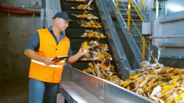 Mısır. Mısır işleme fabrikası. Üretim, tedarik ve mısır tohumlarının satışı için bir girişim. Tarım işi. Mısır tohumu üretimi. Tarım.