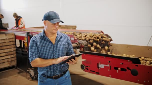 Patates hasadı. Patates ayıklama. Çiftçi, dijital tablet kullanarak patates hasadının kalitesini kontrol ediyor. İşçiler patatesleri ayırır ve toplarlar, taşıyıcı bant makinesinde, arka planda — Stok video