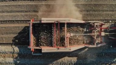 Patates hasadı. Patates biçme makinesi. Çiftlik tarlasında patates hasat eden çiftlik makineleri. Anten, üst manzara. Akıllı çiftçilik.