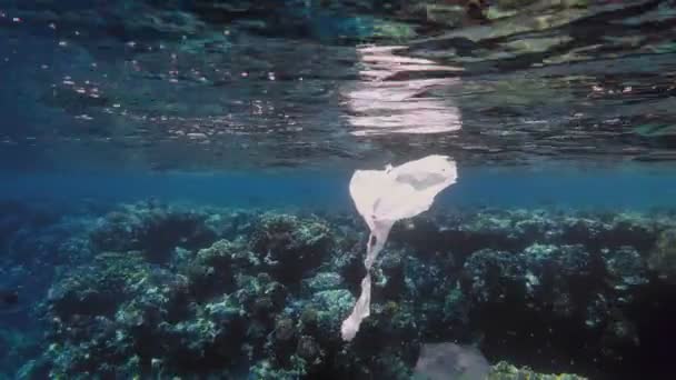 Denizde çöp. Denizin plastik kirliliği. Kullanılmış, beyaz plastik torbalar mercan resifinde, suyun altında, güneş ışığında yavaşça sürükleniyorlar. Plastik atık çevresel kirlilik sorunu — Stok video