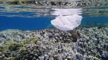 Denizde çöp. Denizde çöp toplayın. Gönüllü, genç kız, şnorkel maskeli, yüzen çöp topluyor, plastik torba sürüklüyor. Deniz, okyanus kirliliği. çevre koruması.