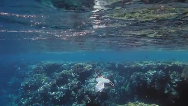 Odpadky v moři. lékařská maska na moři. Použité lékařské masky se pomalu vznášejí nad korálovým útesem, pod vodou ve slunečním světle. problém znečištění životního prostředí — Stock video