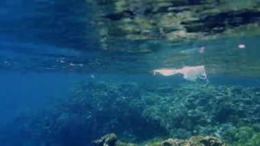 Denizde çöp. Denizde tıbbi maske. Tıbbi maskeler güneş ışığında yavaşça suyun altında sürükleniyorlar. Arka ışıklandırma. Çöp çevresi kirliliği sorunu