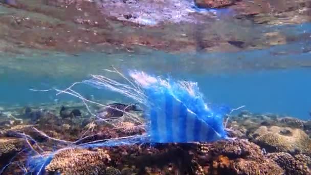 Σκουπίδια στη θάλασσα. Πλαστική ρύπανση της θάλασσας. χρησιμοποιημένη μπλε πλαστική σακούλα παρασύρεται αργά κάτω από το νερό στα φώτα του ήλιου. Πίσω φωτισμός. Πρόβλημα ρύπανσης από πλαστικά απορρίμματα — Αρχείο Βίντεο