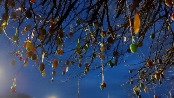 Pâques. décor de Pâques. décor de Pâques de rue. des œufs de Pâques multicolores et colorés décorent les branches d'un grand arbre contre le ciel nocturne de la ville. — Video