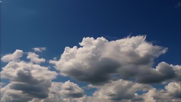 Időeltolódás Felhők Kumulus Felhők Felhőkép Puffadt Fehér Felhők Futnak Kék — Stock videók