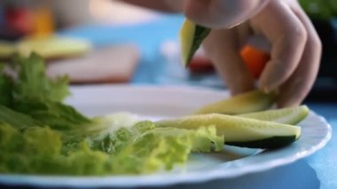 Sebze karışımı. Sebze. Yakın plan. Yuvarlak tabakta taze sebze ve yeşillik tabağı.