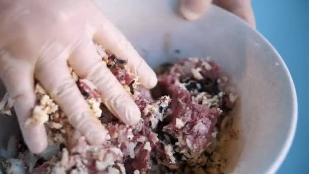 Raw Minced Meat Close Beef Ground Meat Making Chef Mixing — Stockvideo