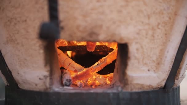 Tandoor Burning Wood Tandoor Tandoor Oven Cooking National Dishes Caucasus — Video Stock