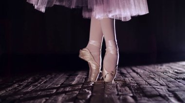 close up, in rays of spotlight, on stage of old theater hall. ballerina in white skirt, raises on toes in pointe, performs elegantly a certain ballet exercise, pas de bourre suivi. High quality photo
