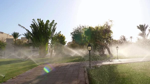 shooting against the sun, Pouring water of green lawn. splashes of water glow in the sunlight. High quality photo