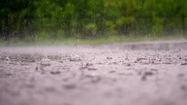 Close Large Heavy Drops Rain Rainfall Shower Fall Spray Water — Stock Photo, Image
