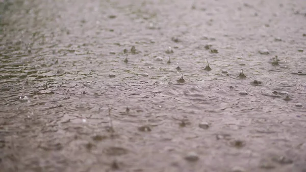Close Large Heavy Drops Rain Rainfall Shower Fall Water Splashes — Stock Photo, Image