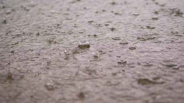 Close View Large Heavy Drops Rain Shower Fall Water Splashes — Stock Photo, Image