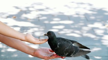 VENICE, ITALY - JULY 7, 2018: main Venice canal, in front of Venices Santa Lucia railway station. many different boats, vaparetto, motor ships floating, many tourists. High quality photo