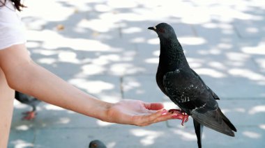 VENICE, ITALY - JULY 7, 2018: main Venice canal, in front of Venices Santa Lucia railway station. many different boats, vaparetto, motor ships floating, many tourists. High quality photo