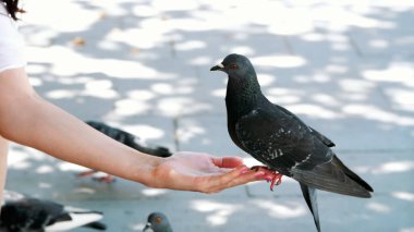 VENICE, ITALY - JULY 7, 2018: main Venice canal, in front of Venices Santa Lucia railway station. many different boats, vaparetto, motor ships floating, many tourists. High quality photo