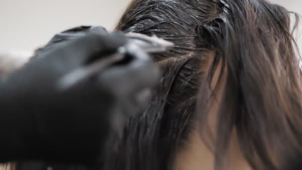 머리카락 머리카락 클로즈업 화장장은 미용실이나 미용실에서 뿌리에 붓으로 페인트 — 비디오