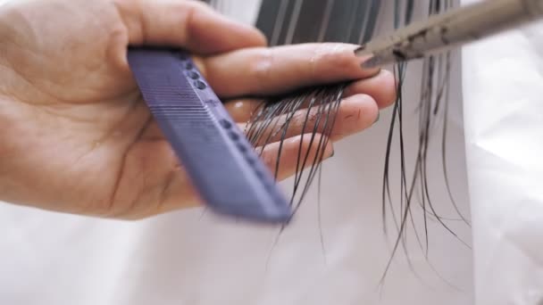 Taglio Capelli Taglio Punta Cura Dei Capelli Primo Piano Parrucchiere — Video Stock