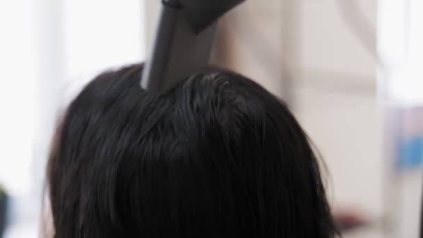 头发干透了吹干头发 理发师是在美容院里用吹风机把客人洗头后的头发晒干的人 — 图库视频影像