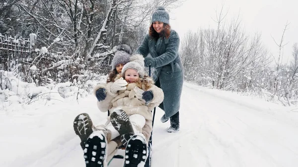 family sledding in winter. outdoor winter activity. Happy, laughing family, woman with 2 daughters are enjoying of sledging on snowy road, in forest, during snowfall. family is having fun, spending