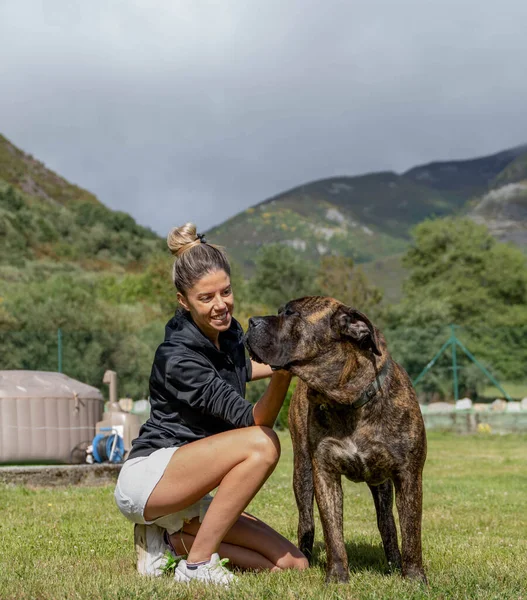 Bahçesinde köpeği Presa Canario ile oynayan güzel bir genç kadın. Yaşam tarzı portresi.