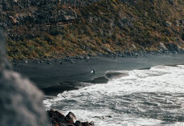Uzakta sörf tahtası olan yalnızlık sörfçüsü. Kumsalda şiddetli dalgalar ve siyah kumlarla kaplı vahşi deniz manzarası.