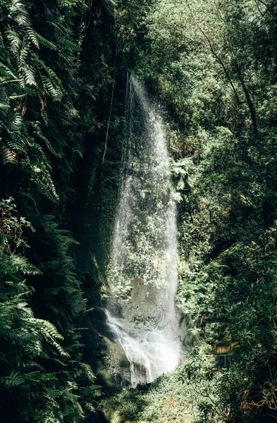 Waterfall Green Rainforest Sunny Day High Quality Photo — Stock Photo, Image