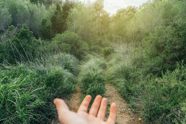 Yeşil doğanın ortasında bir yolda insan eli.