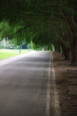 geri uzun bir yürüyüş