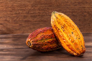 Theobroma Kakao - Kakao 'nun organik kakao meyvesi; Ahşap arkaplanda fotoğraf