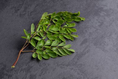 Moringa Oleifera - Taze Organik Moringa yaprakları; gri arka planda