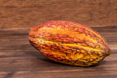 Theobroma Kakao - Kakao 'nun organik kakao meyvesi; Ahşap arkaplanda fotoğraf