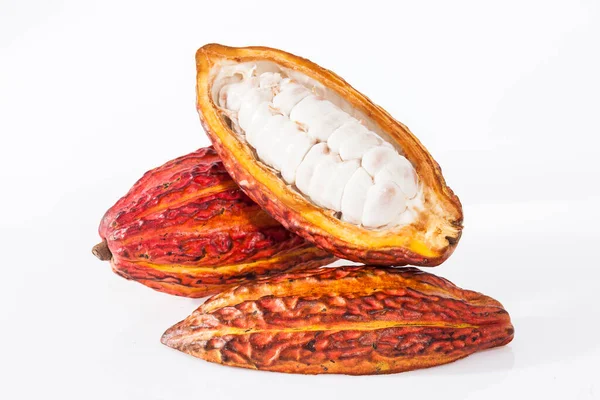 Theobroma Cacao - Organic Cocoa Fruit Of The Cocoa Tree; Photo On White Background
