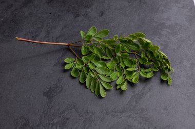Moringa Oleifera - Taze Organik Moringa yaprakları; gri arka planda