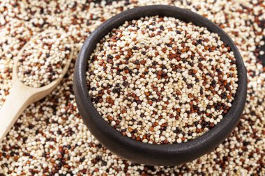 Chenopodium Quinoa - Gerçek kinoa tohumu karışımı: Beyaz, kırmızı ve siyah kinoa