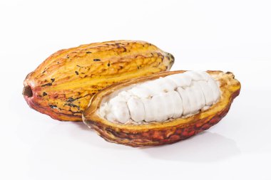 Theobroma Kakao - Kakao 'nun Organik Kakao Meyvesi; Beyaz Arkaplanda Fotoğraf