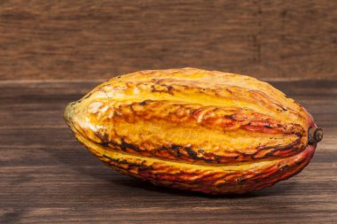 Theobroma Kakao - Kakao 'nun organik kakao meyvesi; Ahşap arkaplanda fotoğraf