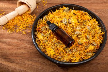 Calendula Officinalis - Calendula Petrol Koyu Kozmetik Düşüren
