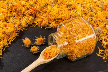 Calendula officinalis Hierba Astercea - Kurumuş takvim çiçekleri