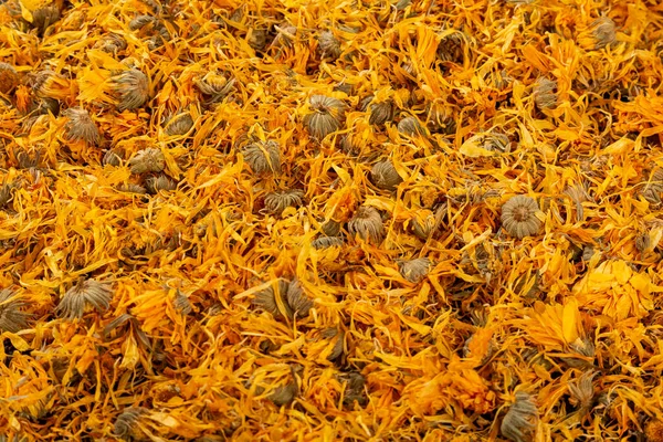 Calendula Officinalis Hierba Astercea Flores Secas Caléndula — Foto de Stock