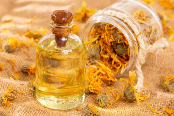Calendula Officinalis - Calendula Petrol Şişesi İçinde