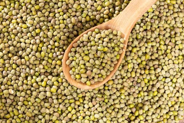 Vigna Radiata - Çiğ organik yeşil mung fasulyesi