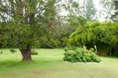 Manzara Güzel Doğal Bahçe; Panoramik Güzel Bahçe Manzarası