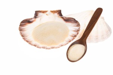 Hidrolize Kolajen veya Kolajen Peptid Protein Besleyici