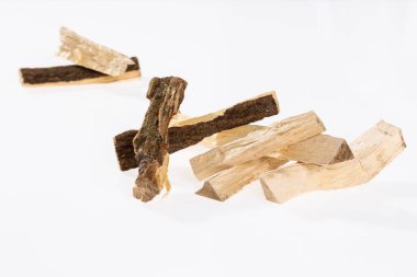 Quassia Amara - Quassia Tıp Tesisinin Kökleri; Beyaz Arkaplanda